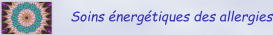 Soins énergétiques des allergies