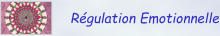 Régulation Emotionnelle