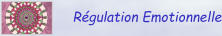 Régulation Emotionnelle