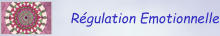 Régulation Emotionnelle